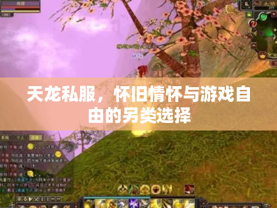天龙私服，怀旧情怀与游戏自由的另类选择