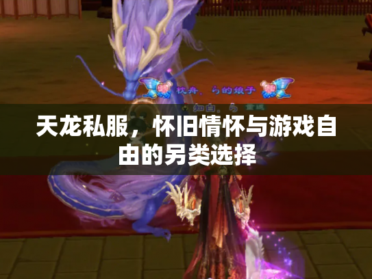 天龙私服，怀旧情怀与游戏自由的另类选择