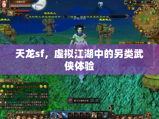 天龙sf，虚拟江湖中的另类武侠体验
