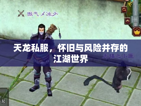 天龙私服，怀旧与风险并存的江湖世界
