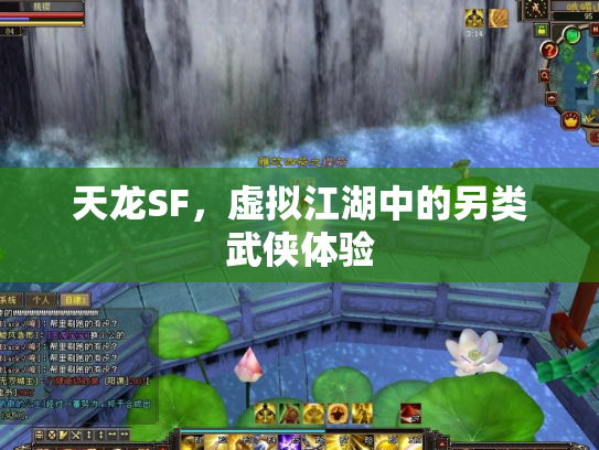 天龙SF，虚拟江湖中的另类武侠体验