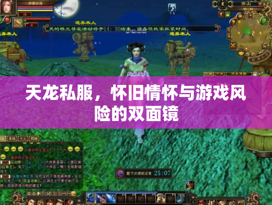 天龙私服，怀旧情怀与游戏风险的双面镜
