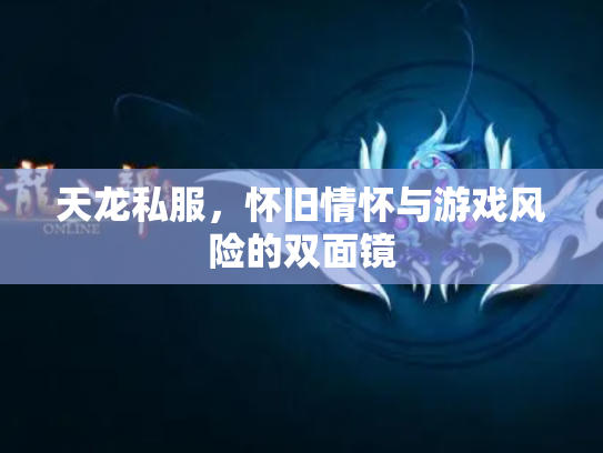 天龙私服，怀旧情怀与游戏风险的双面镜