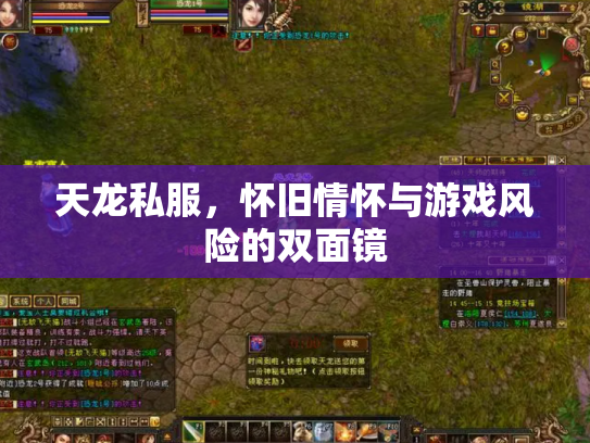 天龙私服，怀旧情怀与游戏风险的双面镜
