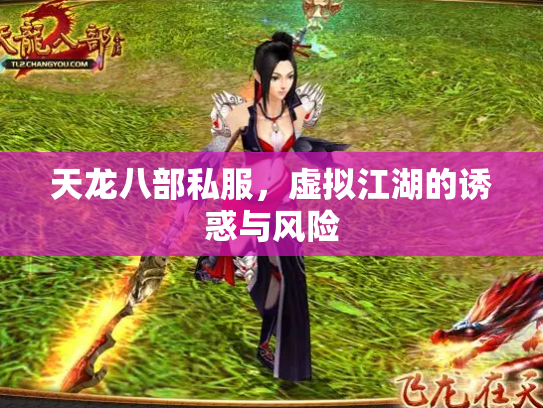 天龙八部私服，虚拟江湖的诱惑与风险