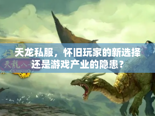 天龙私服，怀旧玩家的新选择还是游戏产业的隐患？