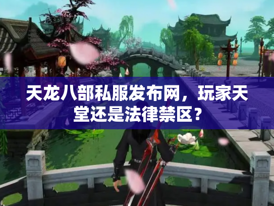 天龙八部私服发布网，玩家天堂还是法律禁区？