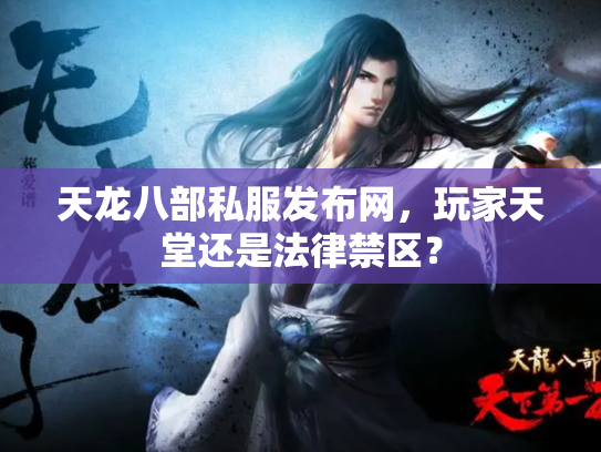 天龙八部私服发布网，玩家天堂还是法律禁区？