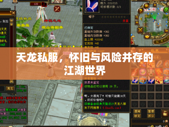 天龙私服，怀旧与风险并存的江湖世界