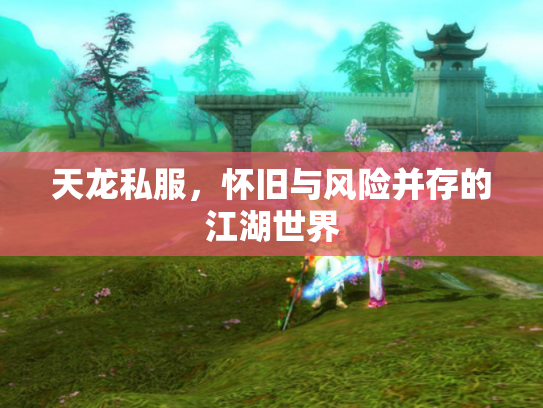 天龙私服，怀旧与风险并存的江湖世界