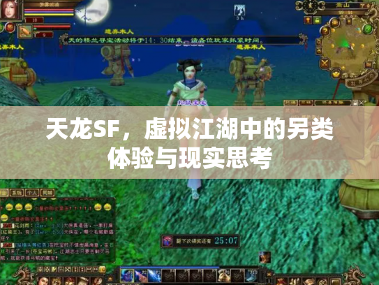 天龙SF，虚拟江湖中的另类体验与现实思考