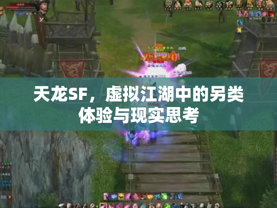 天龙SF，虚拟江湖中的另类体验与现实思考