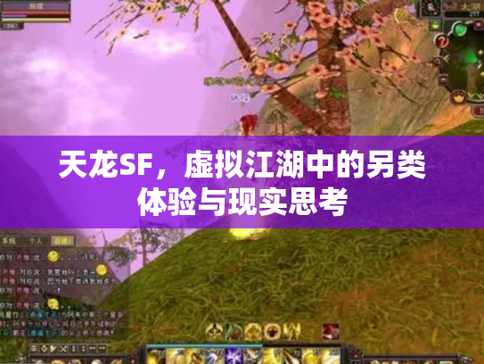 天龙SF，虚拟江湖中的另类体验与现实思考