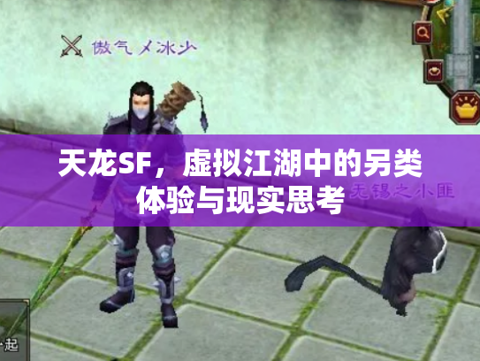 天龙SF，虚拟江湖中的另类体验与现实思考