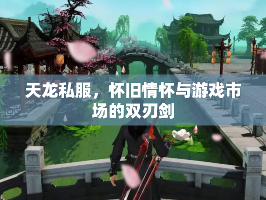 天龙私服，怀旧情怀与游戏市场的双刃剑