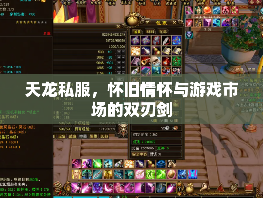 天龙私服，怀旧情怀与游戏市场的双刃剑