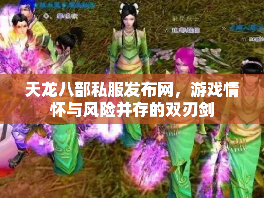 天龙八部私服发布网，游戏情怀与风险并存的双刃剑
