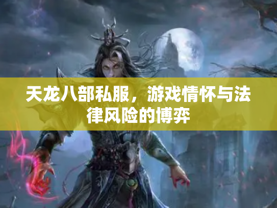 天龙八部私服，游戏情怀与法律风险的博弈