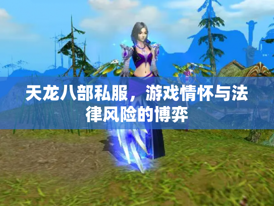 天龙八部私服，游戏情怀与法律风险的博弈