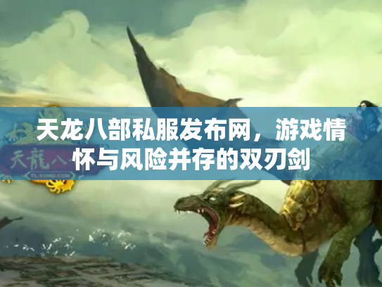 天龙八部私服发布网，游戏情怀与风险并存的双刃剑