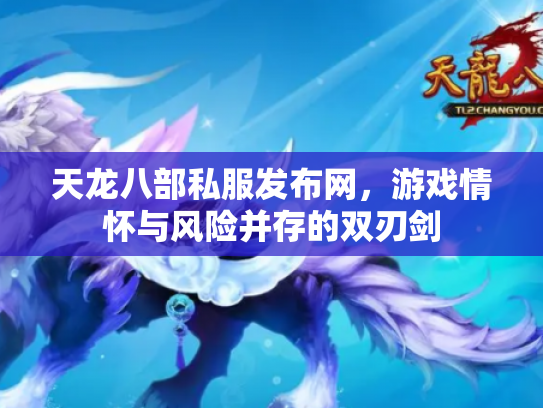 天龙八部私服发布网，游戏情怀与风险并存的双刃剑