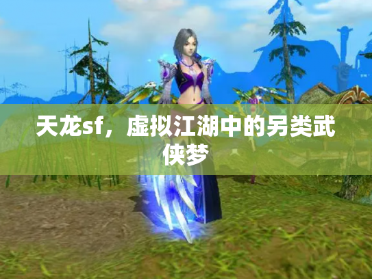 天龙sf，虚拟江湖中的另类武侠梦