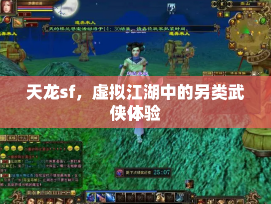 天龙sf，虚拟江湖中的另类武侠体验