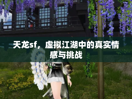 天龙sf，虚拟江湖中的真实情感与挑战