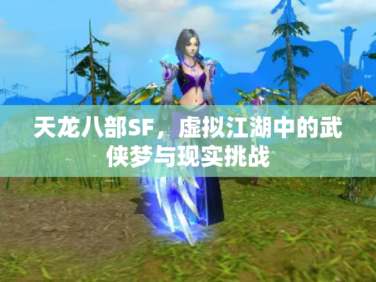 天龙八部SF，虚拟江湖中的武侠梦与现实挑战