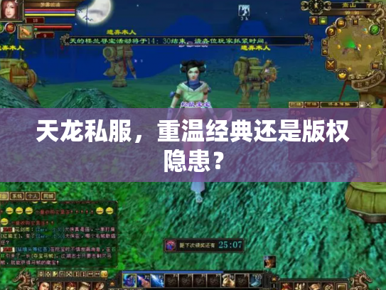 天龙私服，重温经典还是版权隐患？