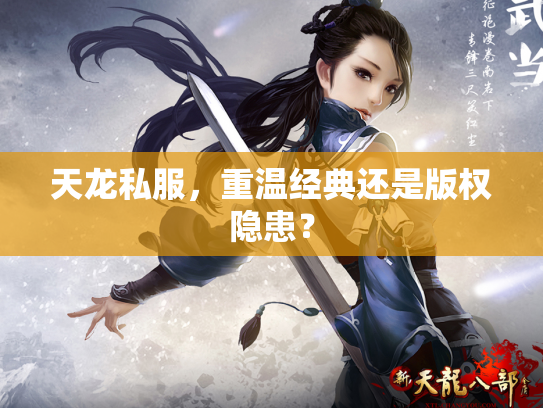 天龙私服，重温经典还是版权隐患？
