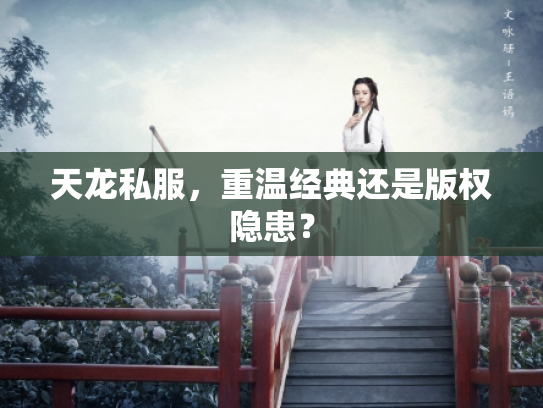 天龙私服，重温经典还是版权隐患？