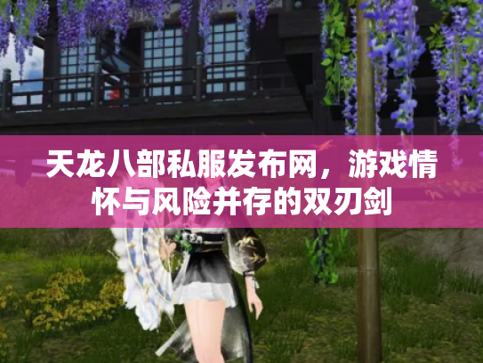 天龙八部私服发布网，游戏情怀与风险并存的双刃剑