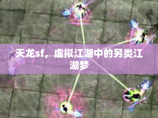 天龙sf，虚拟江湖中的另类江湖梦