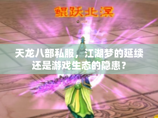 天龙八部私服，江湖梦的延续还是游戏生态的隐患？