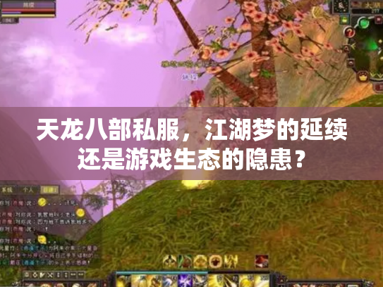 天龙八部私服，江湖梦的延续还是游戏生态的隐患？