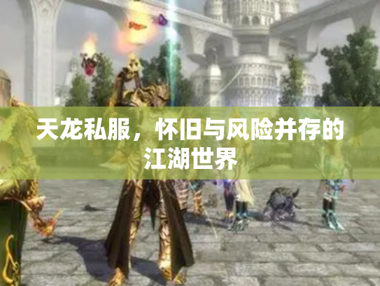天龙私服，怀旧与风险并存的江湖世界