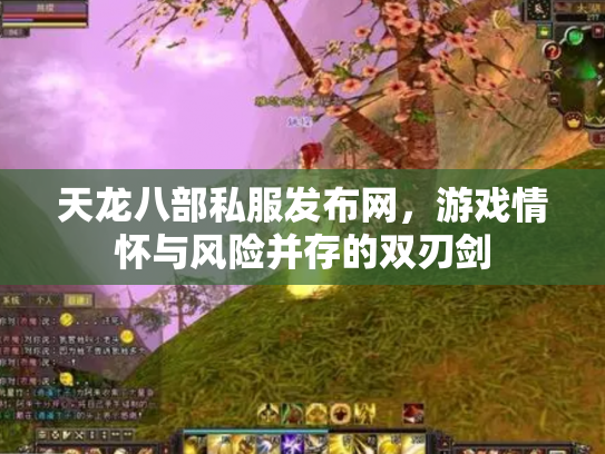 天龙八部私服发布网，游戏情怀与风险并存的双刃剑