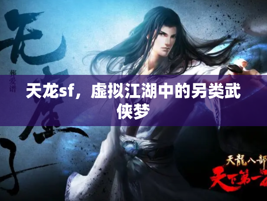 天龙sf，虚拟江湖中的另类武侠梦