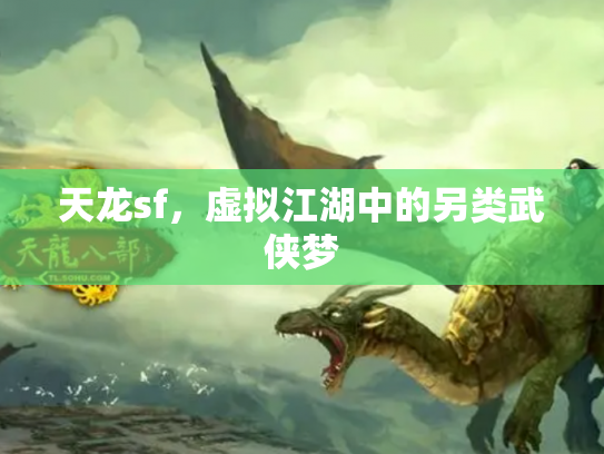 天龙sf，虚拟江湖中的另类武侠梦