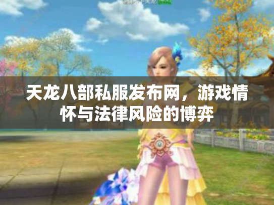 天龙八部私服发布网，游戏情怀与法律风险的博弈