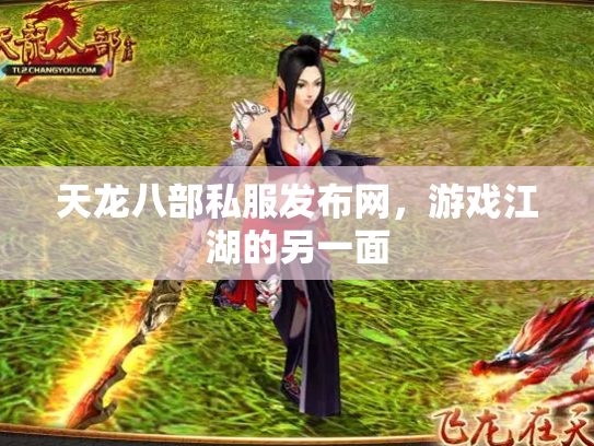 天龙八部私服发布网，游戏江湖的另一面