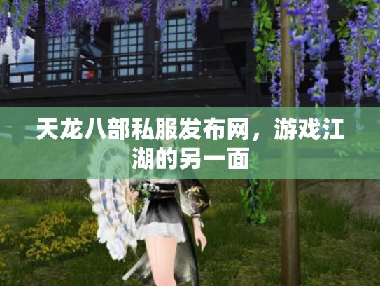 天龙八部私服发布网，游戏江湖的另一面
