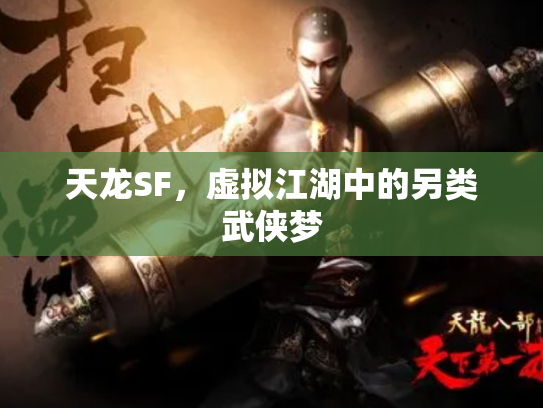 天龙SF，虚拟江湖中的另类武侠梦