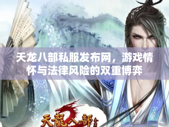 天龙八部私服发布网，游戏情怀与法律风险的双重博弈