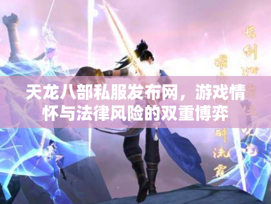 天龙八部私服发布网，游戏情怀与法律风险的双重博弈
