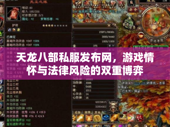 天龙八部私服发布网，游戏情怀与法律风险的双重博弈