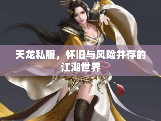 天龙私服，怀旧与风险并存的江湖世界