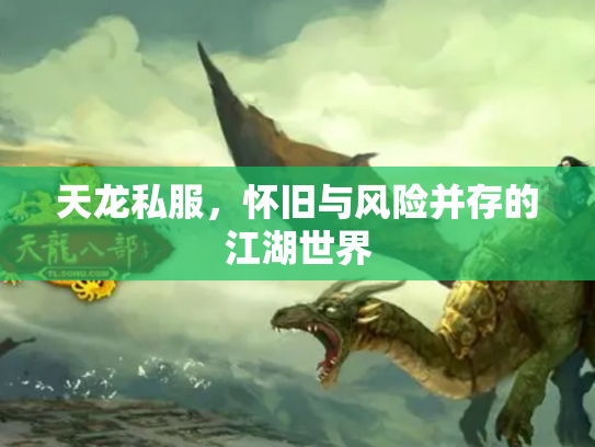 天龙私服，怀旧与风险并存的江湖世界