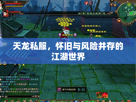 天龙私服，怀旧与风险并存的江湖世界
